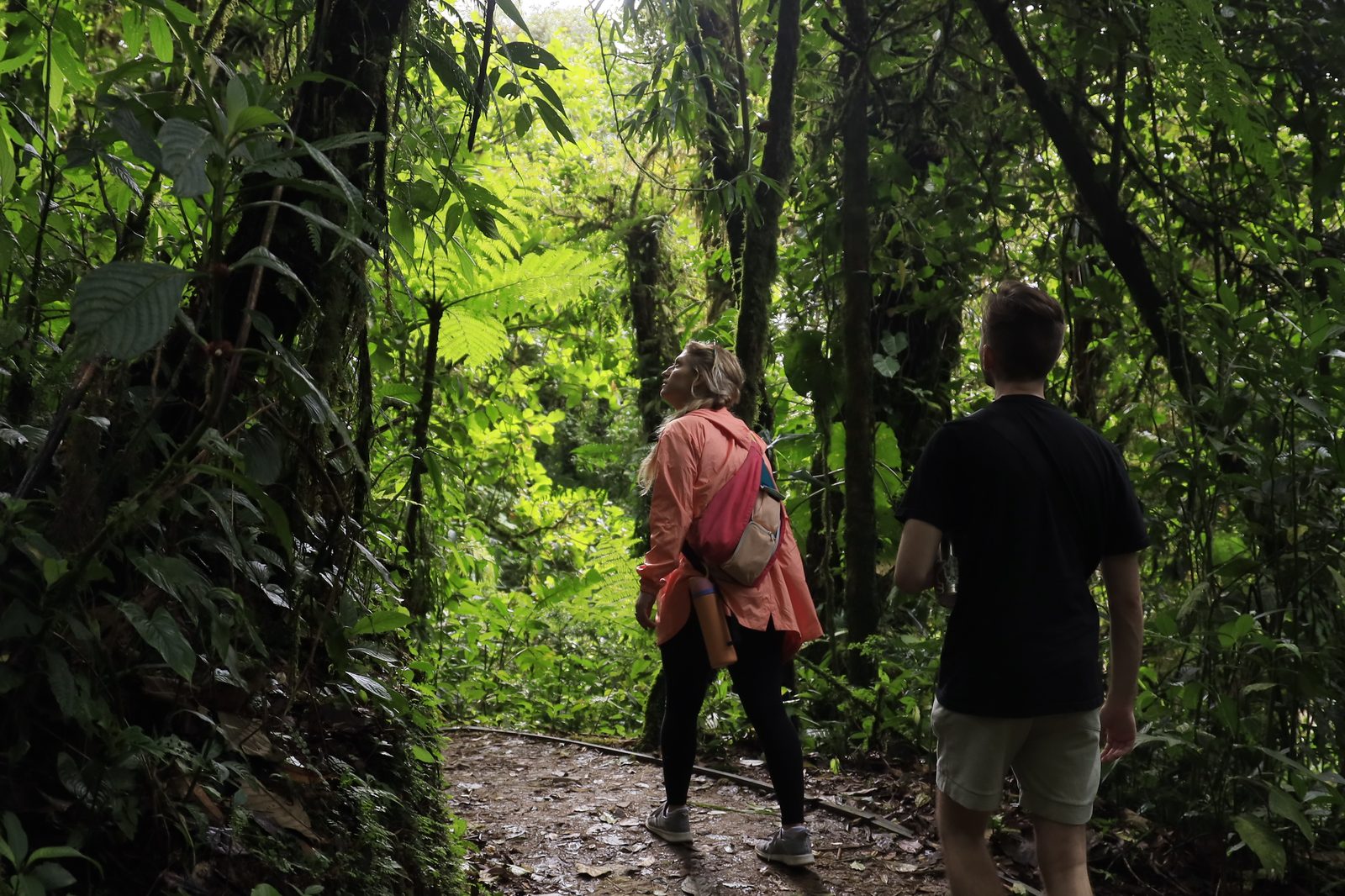 Two hikers on a jungle trail