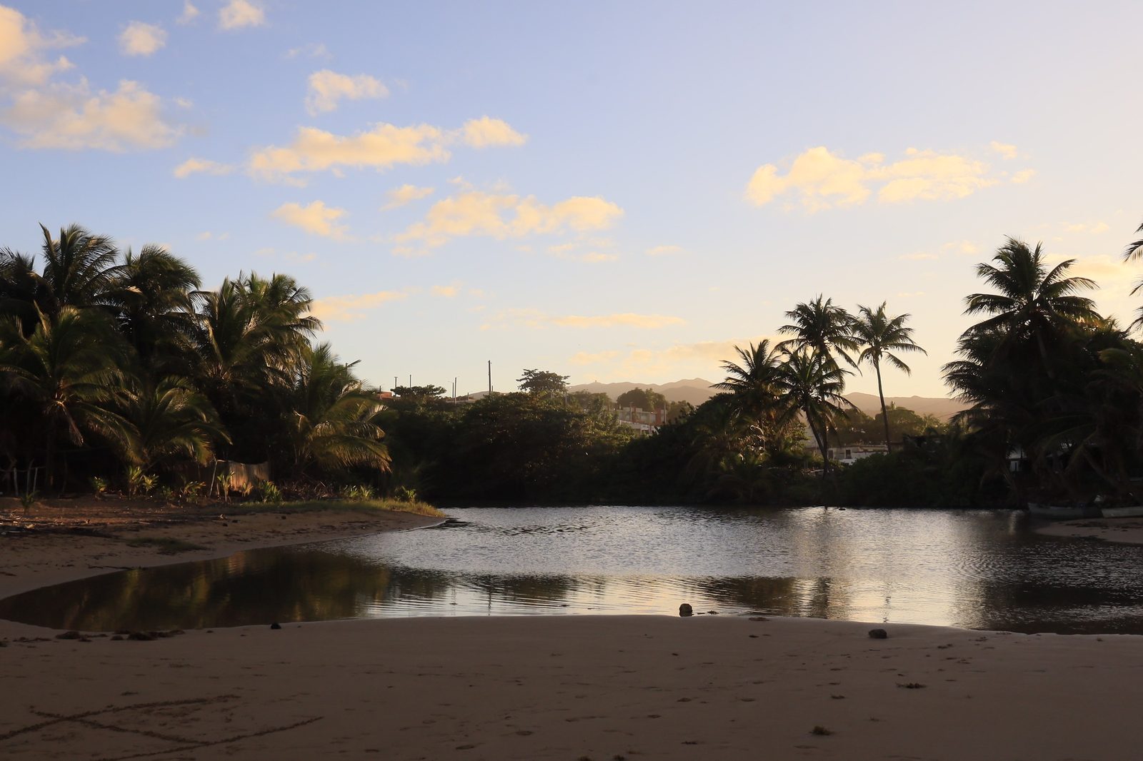 Sunset over palms in Puerto Rico