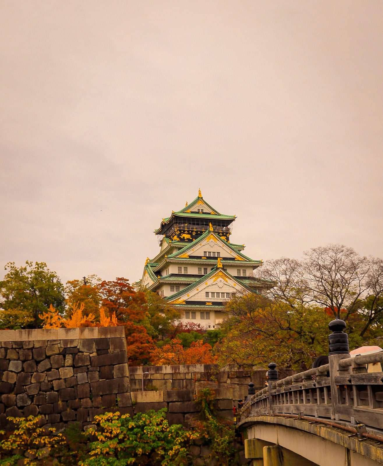Japanese taxis lined up with autumn trees