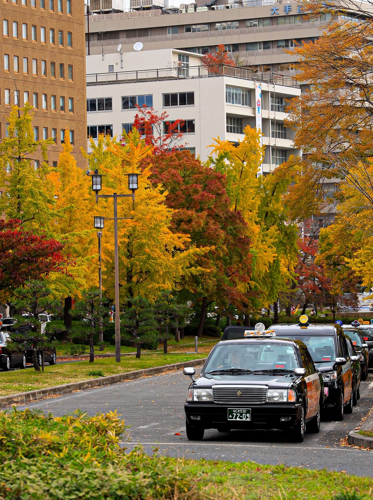 Autumn trees and taxis in Osaka